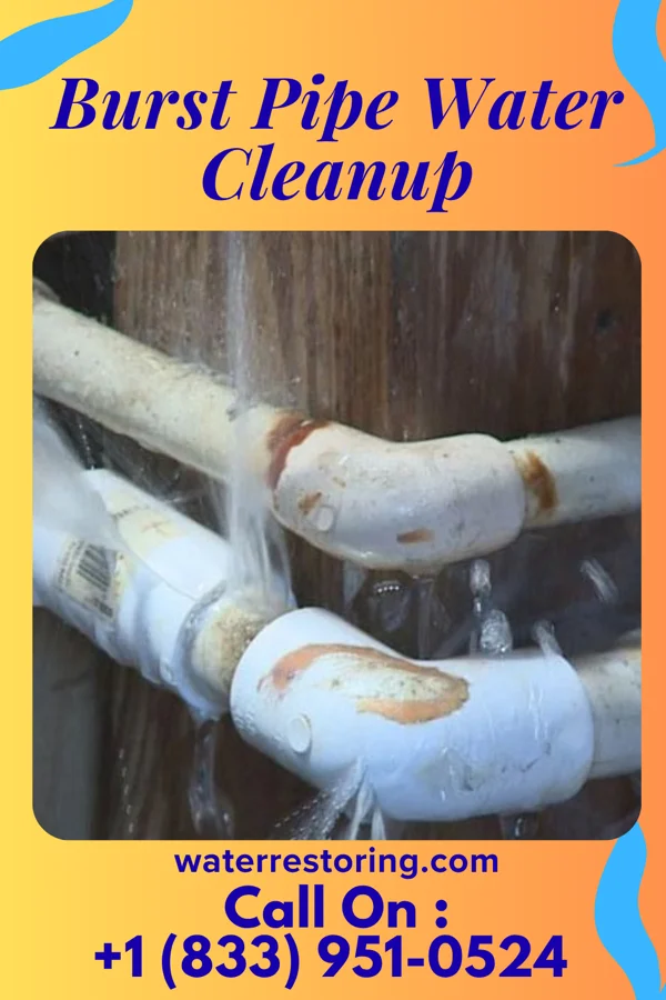 Burst Pipe Water Cleanup in Soddy-Daisy, TN
