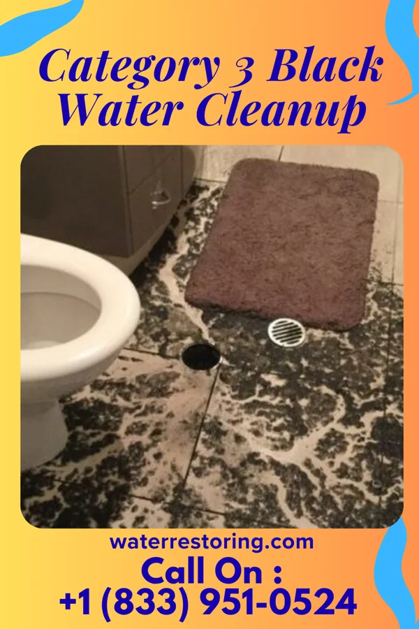 Category 3 Black Water Cleanup in Soddy-Daisy, TN