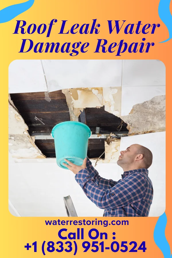 Roof Leak Water Damage Repair in Soddy-Daisy, TN