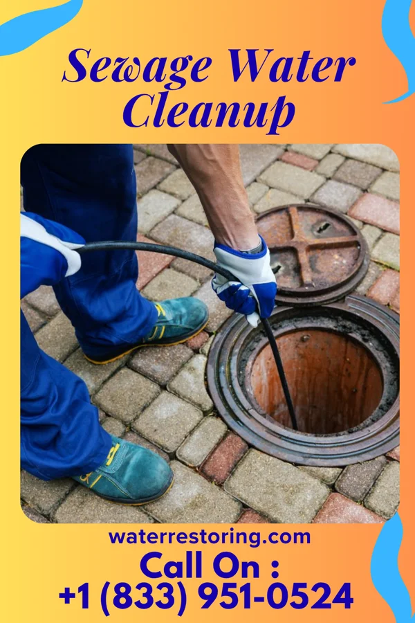 Sewage Water Cleanup in Soddy-Daisy, TN
